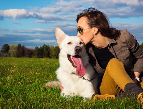 Keeping Your Pet Healthy in 2020